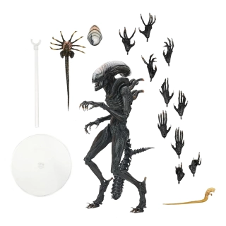 Alien: Romulus - 7" Scale Action Figure - Ultimate Scorched Xenomorph