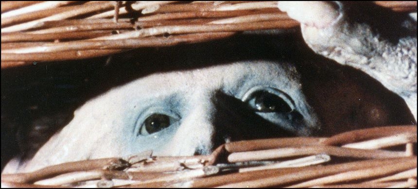 Basket Case